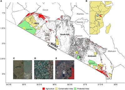 Wide-scale subdivision and fencing of southern Kenyan rangelands jeopardizes biodiversity conservation and pastoral livelihoods: Demonstration of utility of open-access landDX database